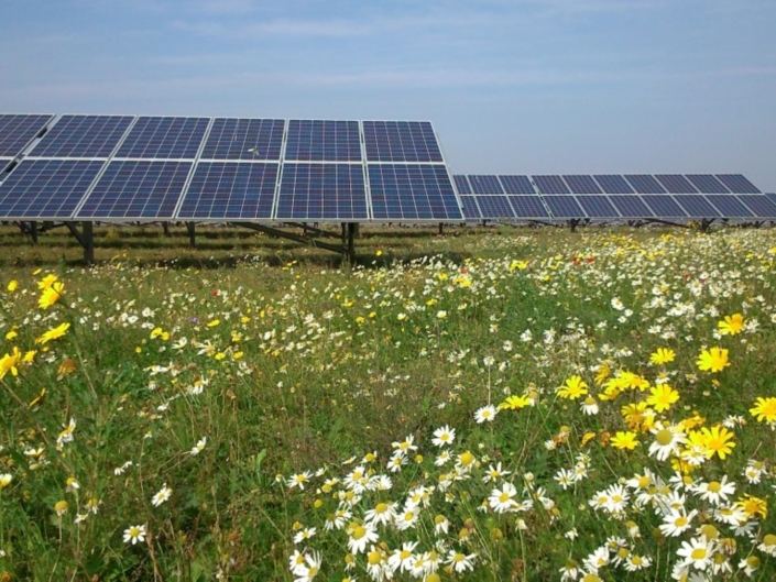Solar Century Solar Farm