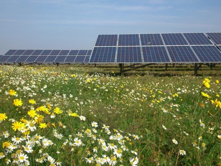 Solar Century Solar Farm